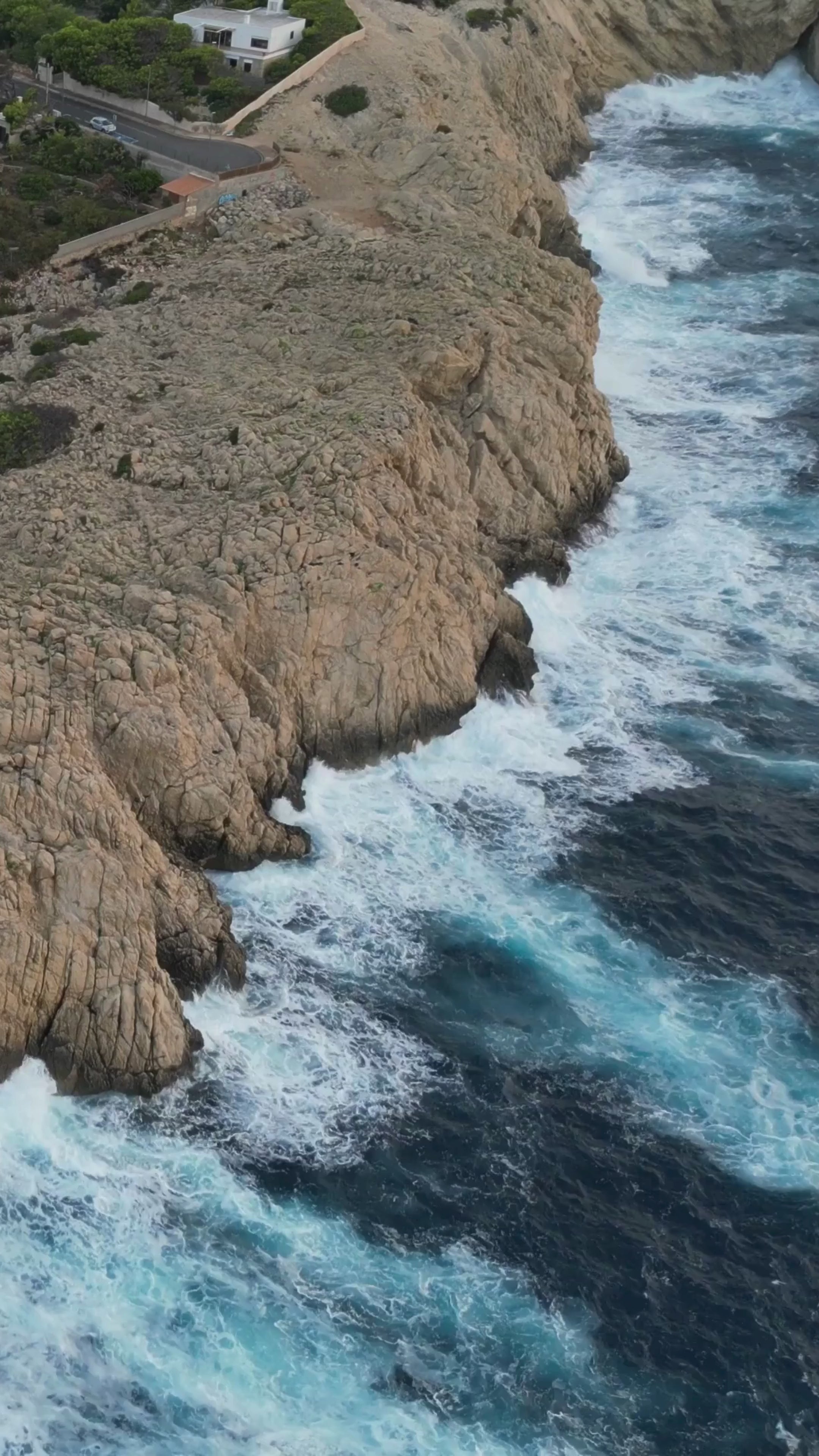 Carica il video: 